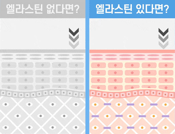 stem cell therapy korea