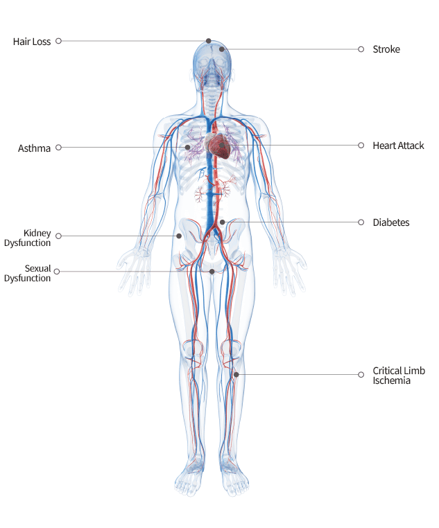 stem cell therapy korea